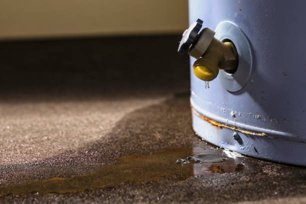 Best Carpet water damage restoration  in Diaz, AR