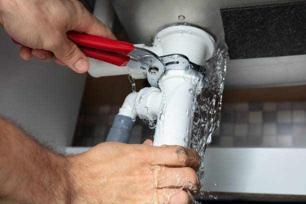 Best Water damage cleanup near me  in Diaz, AR