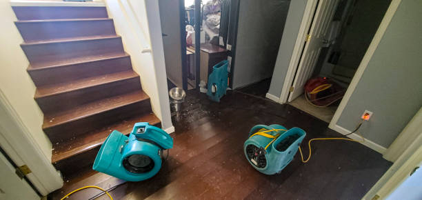 Best Carpet water damage restoration  in Diaz, AR