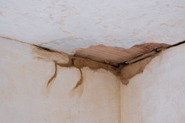  Diaz, AR Water damage restoration Pros