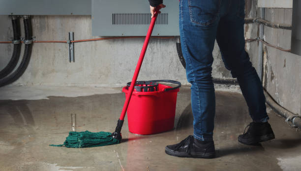 Trusted Diaz, AR Water damage restoration Experts