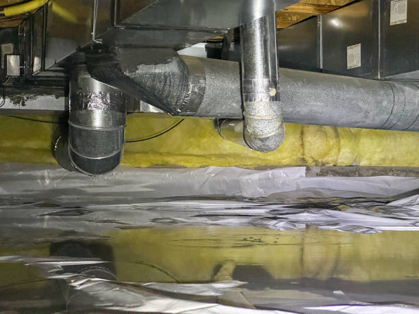 Best Sewage cleanup and water damage restoration  in Diaz, AR