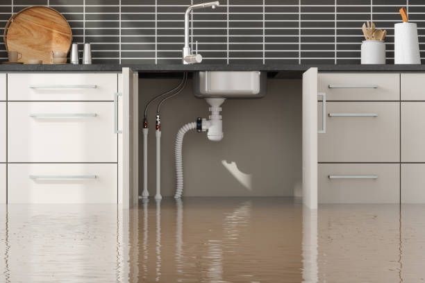 Best Flooded house restoration  in Diaz, AR