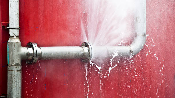 Best Carpet water damage restoration  in Diaz, AR